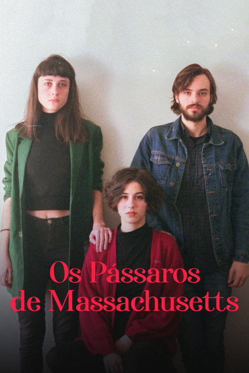 Movie poster for Os Pássaros de Massachusetts (2019)