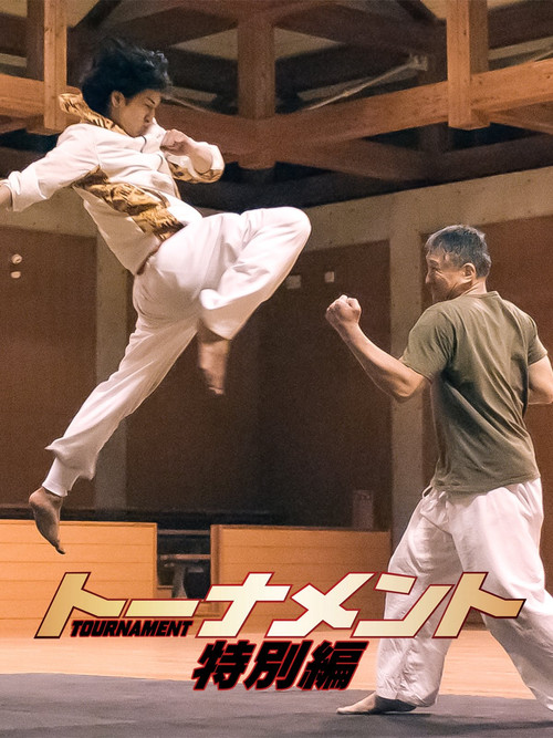 Movie poster for Tournament Special Edition (2012)