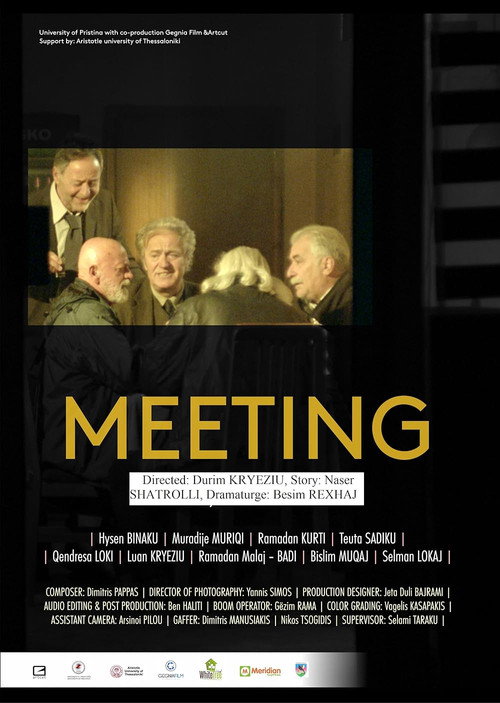 Movie poster for Meeting (2016)