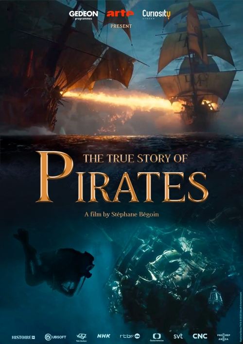 Movie poster for The True Story of Pirates (2022)