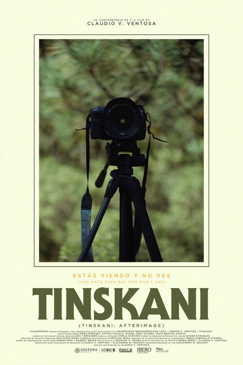 Movie poster for Tinskani: Afterimage