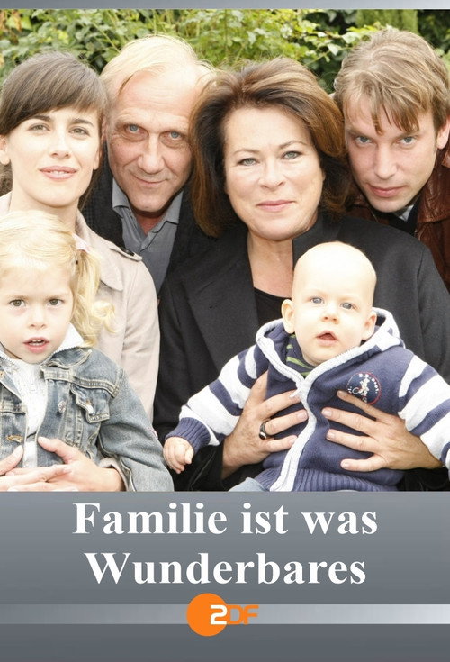 Movie poster for Familie ist was Wunderbares (2008)
