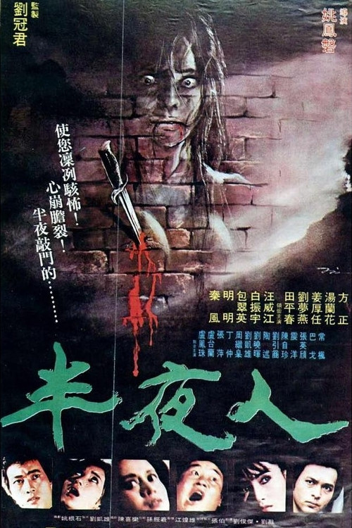 Movie poster for The Mid-Night (1981)