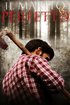 Movie poster for The Perfect Marriage (2011)