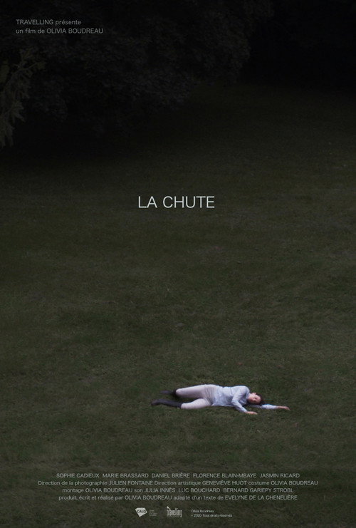 Movie poster for La chute (2017)
