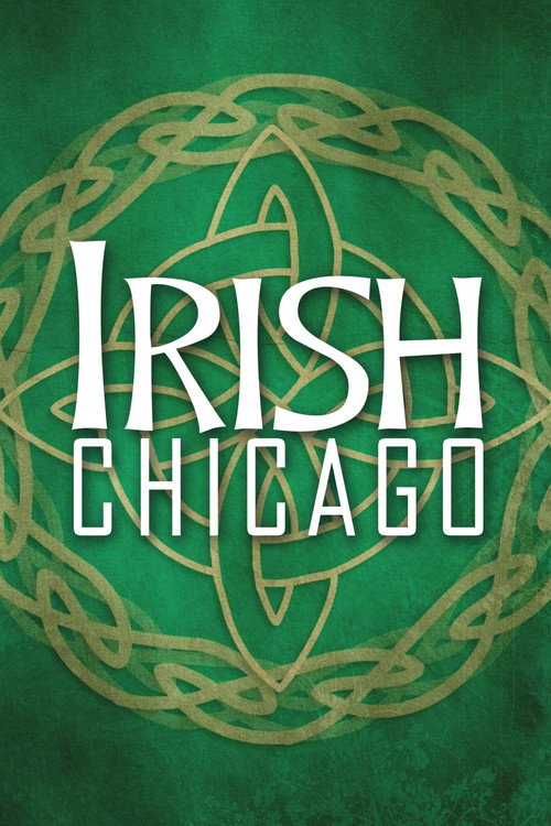 Movie poster for Irish Chicago (2009)
