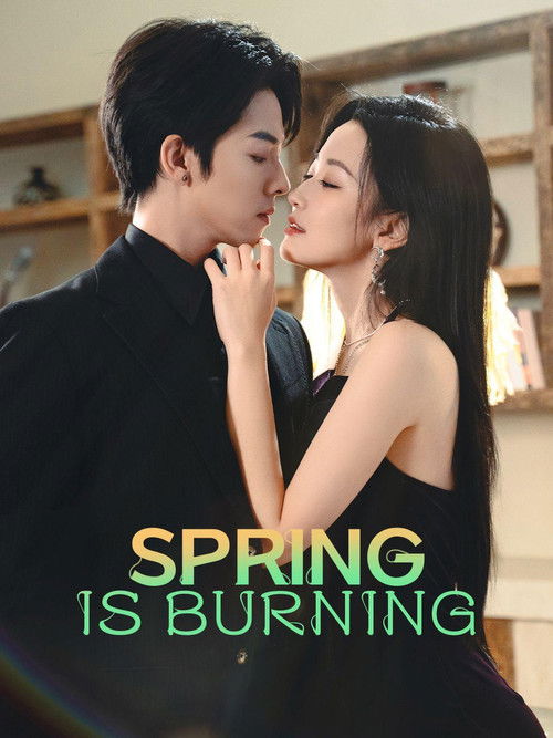 Love in the Spring Night poster