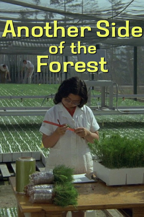 Movie poster for Another Side of the Forest (1974)
