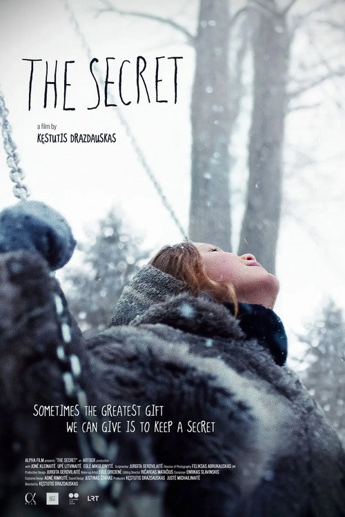 Movie poster for The Secret (2024)