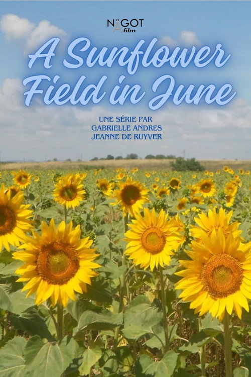 Series poster for A Sunflower Field in June (2024)