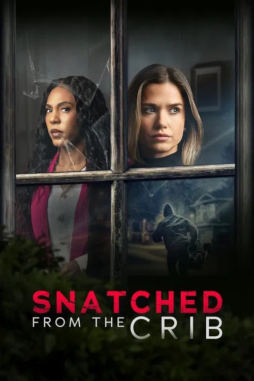 Movie poster for Snatched From The Crib (2025)