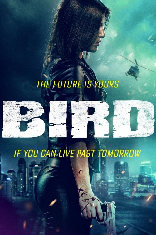 Movie poster for Bird (2020)