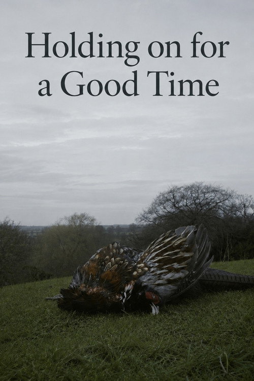 Movie poster for Holding on for a Good Time (2015)