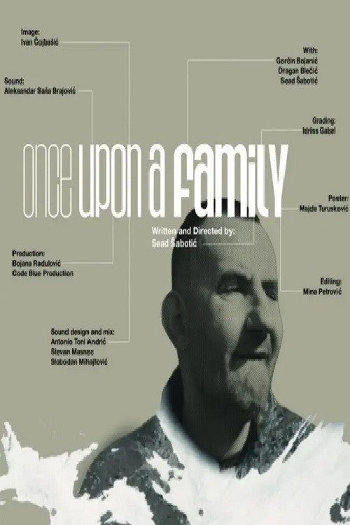 Movie poster for Once Upon a Family (2024)