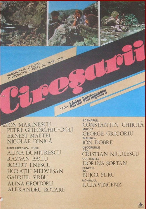 Movie poster for The Cherry Blossoms (1984)