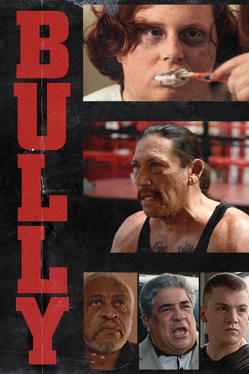 Movie poster for Bully (2018)