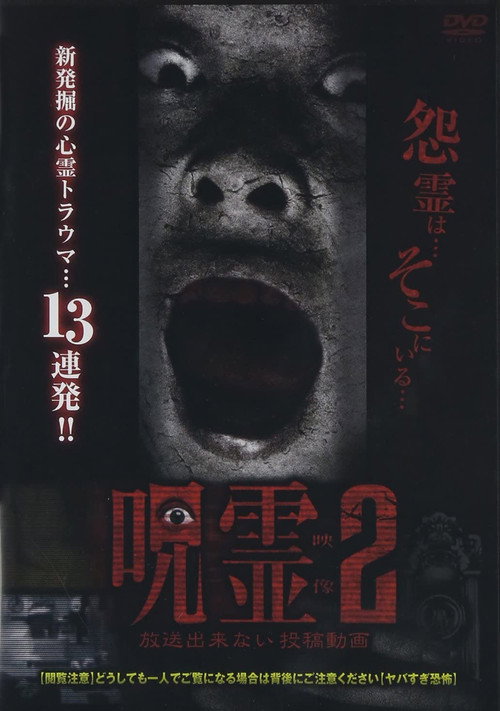 Movie poster for Submitted Ghost Videos That Cannot be Broadcast 2 (2014)