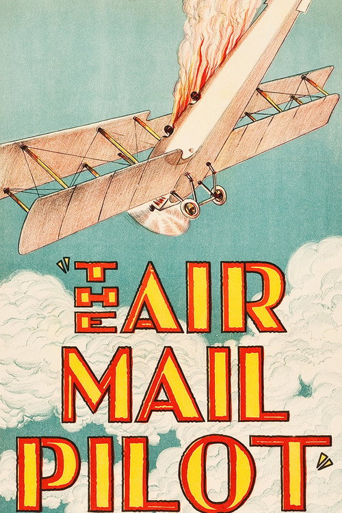 Movie poster for The Air Mail Pilot (1928)