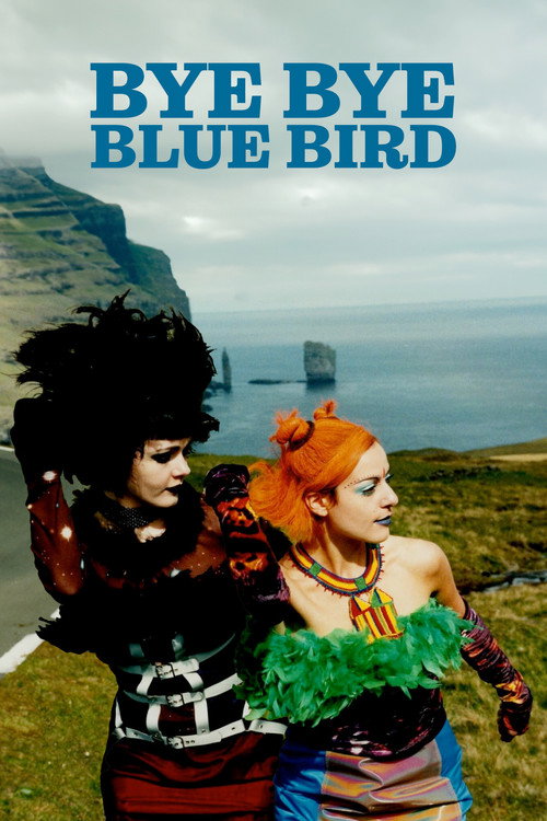 Movie poster for Bye Bye Blue Bird (1999)