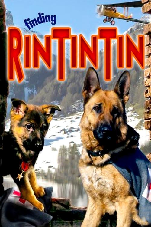 Movie poster for Finding Rin Tin Tin (2007)