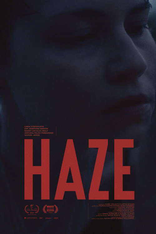 Movie poster for HAZE (2023)