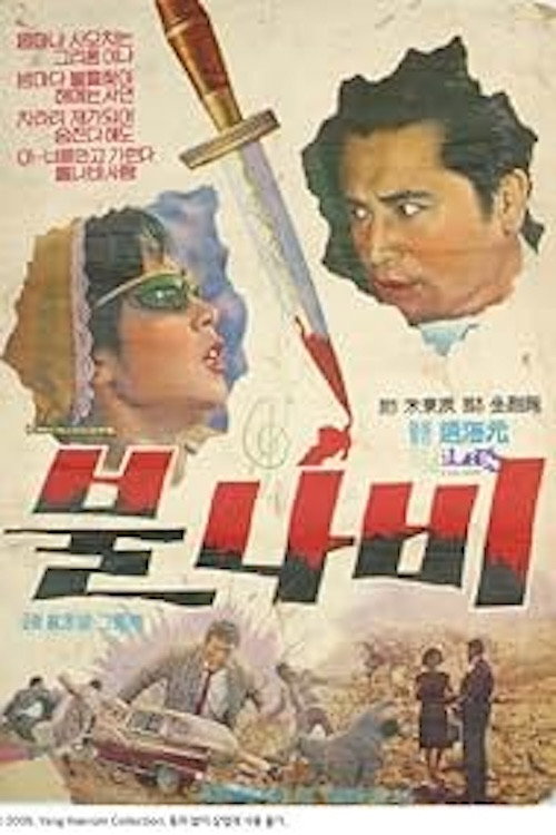 Movie poster for The Tiger Moth (1965)