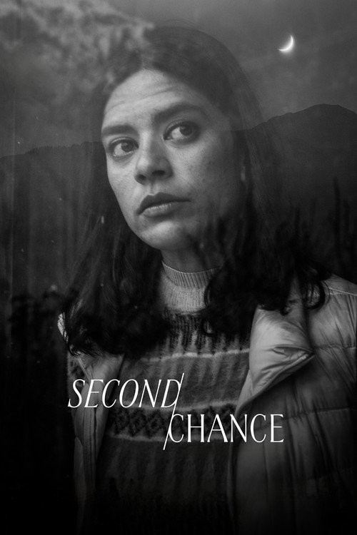 Movie poster for Second Chance (2025)