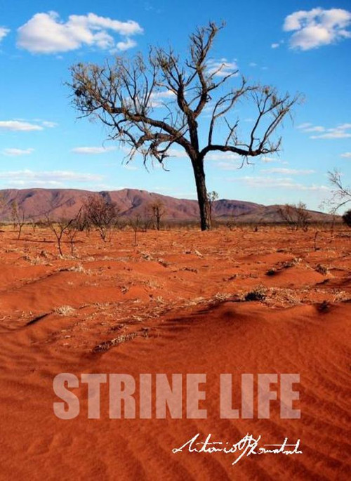 Movie poster for Strine Life (2016)
