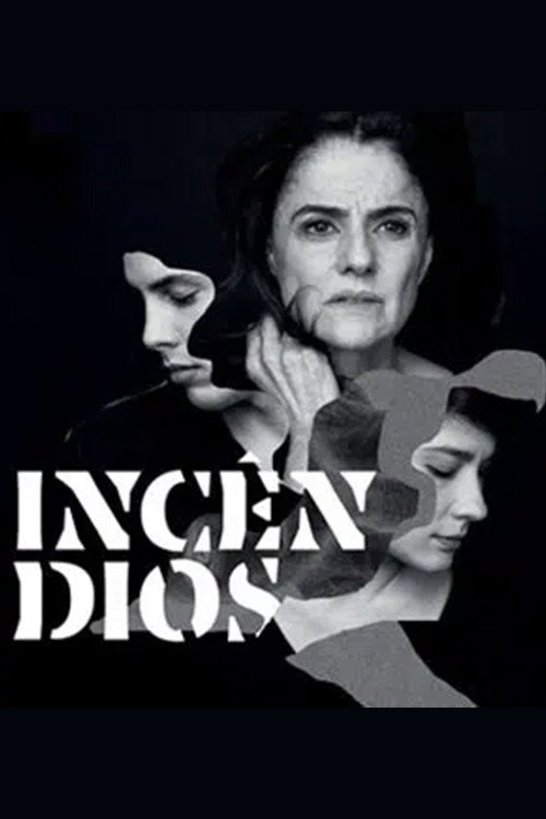 Movie poster for Incêndios (2014)