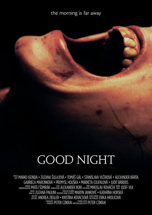 Movie poster for Good Night (2013)