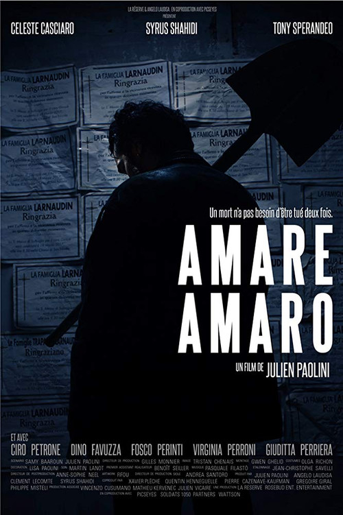 Movie poster for Amare Amaro (2018)
