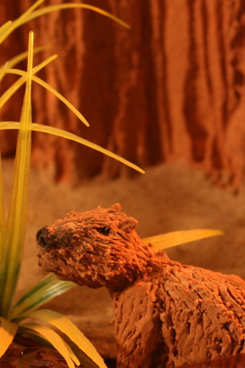 Movie poster for Capibara