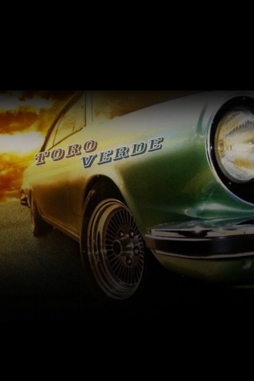 Movie poster for Historias breves V: Toro verde (2009)