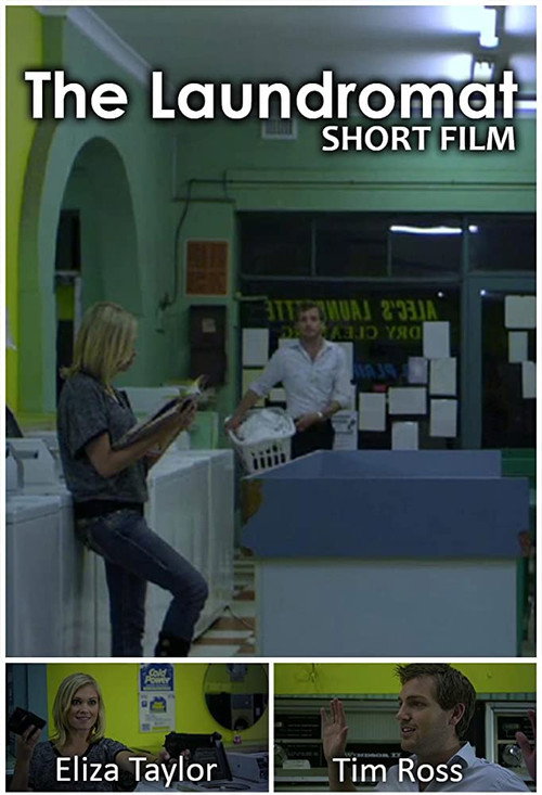 Movie poster for The Laundromat (2010)