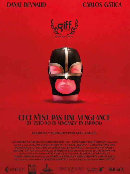 Movie poster for This Is Not Revenge (2025)