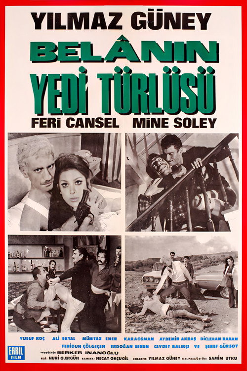 Movie poster for Belanın Yedi Türlüsü (1969)