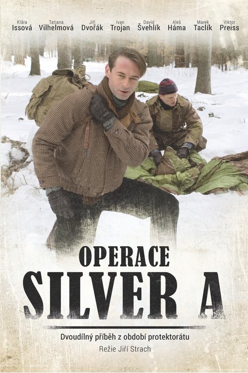 Movie poster for Operation Silver A (2007)