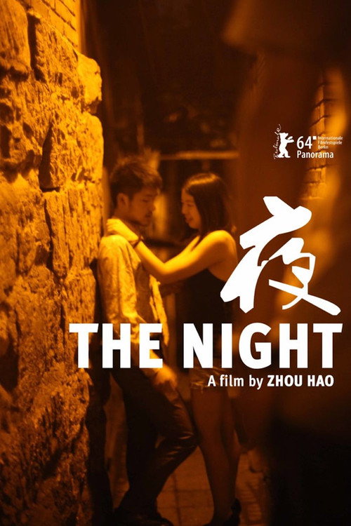 Movie poster for The Night (2014)