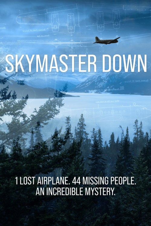Movie poster for Skymaster Down (2022)