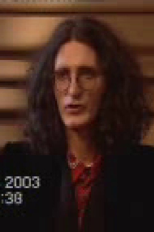 Movie poster for How the Album Harmonajzer Was Being Recorded (2003)