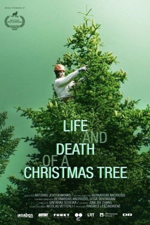 Movie poster for Life and Death of a Christmas Tree (2024)