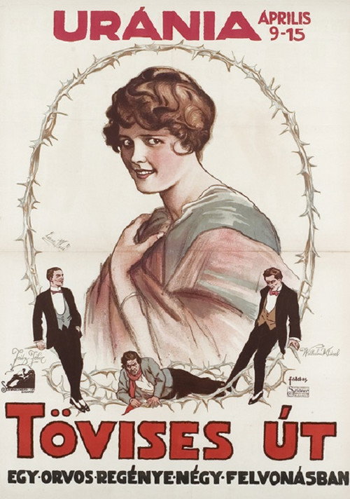 Movie poster for Lebenswogen (1917)