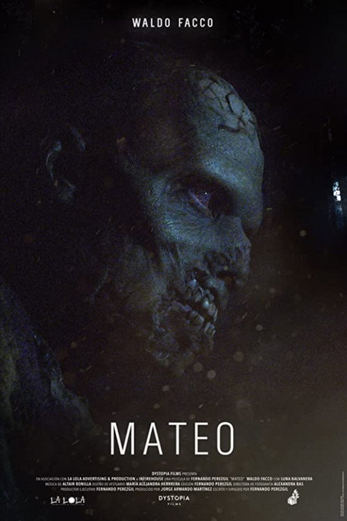 Movie poster for Mateo (2020)