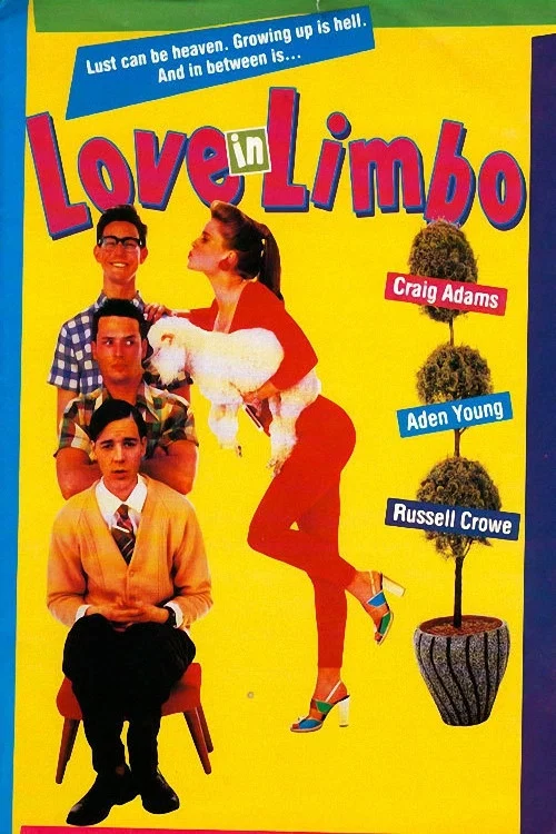 Movie poster for Love In Limbo (1993)