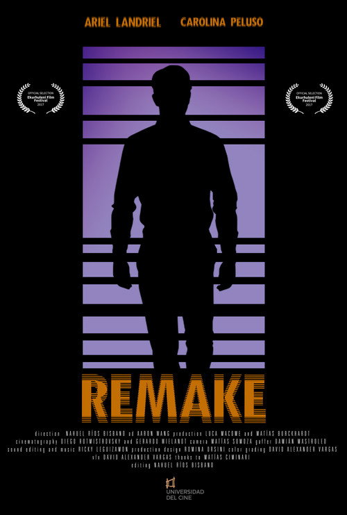 Movie poster for Remake