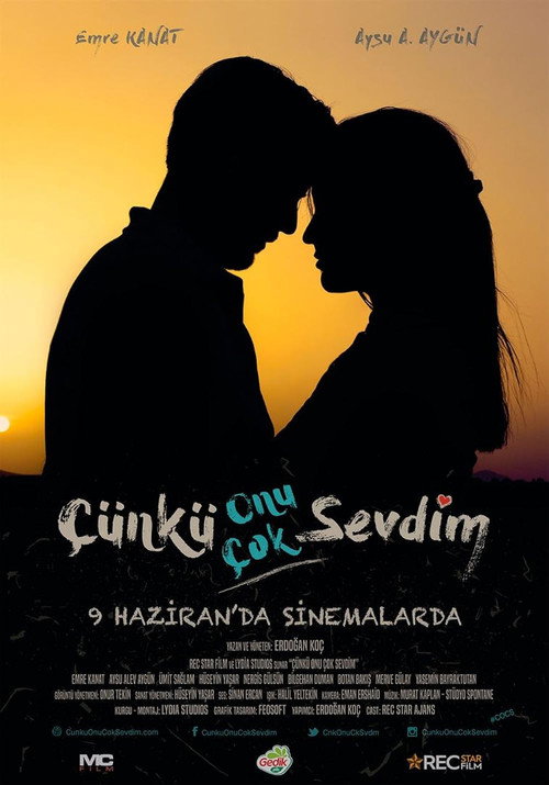 Movie poster for Çünkü Onu Çok Sevdim