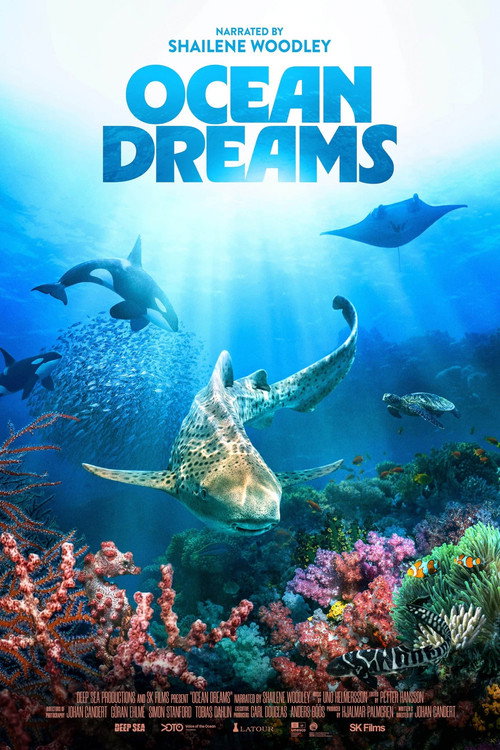 Movie poster for Ocean Dreams (2026)