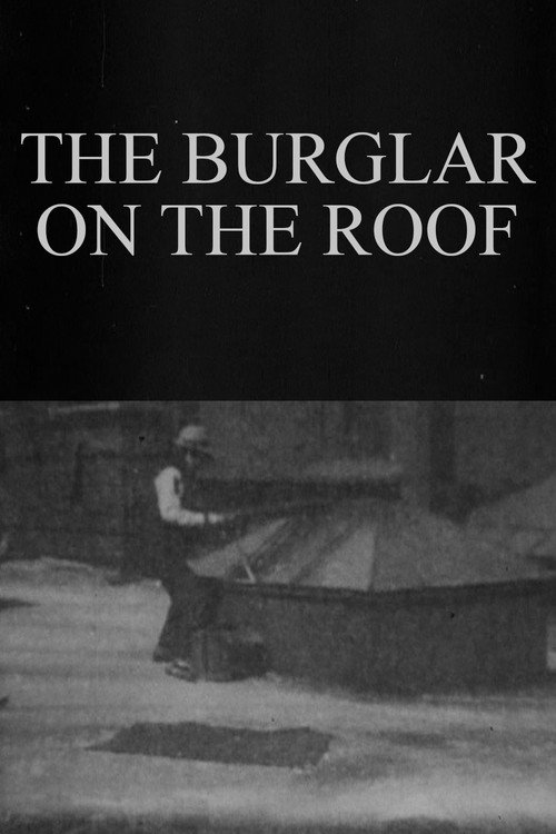 Movie poster for The Burglar on the Roof (1898)