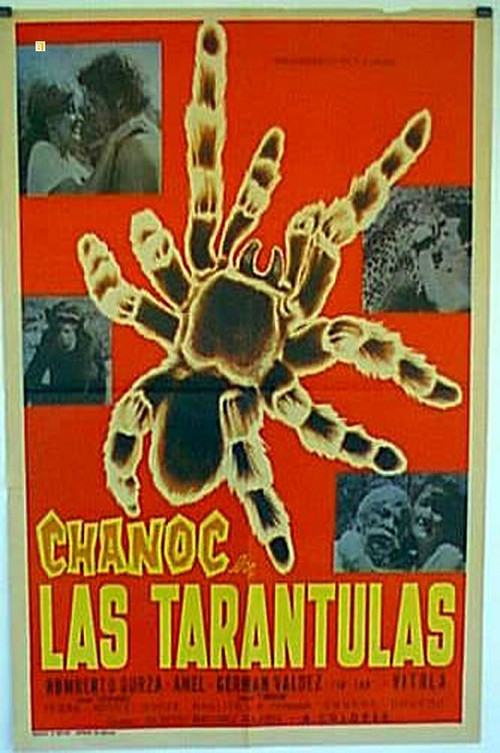 Movie poster for Las tarántulas (1973)