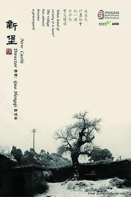 Movie poster for New Castle (2010)